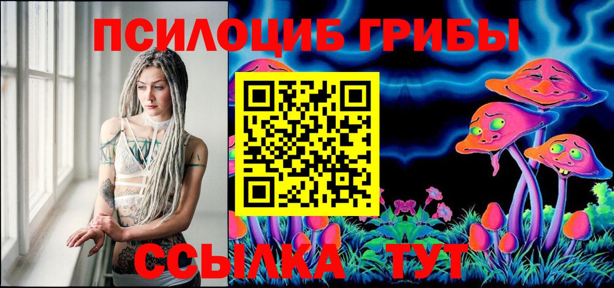 Галлюциногенные грибы прущие грибы Братск