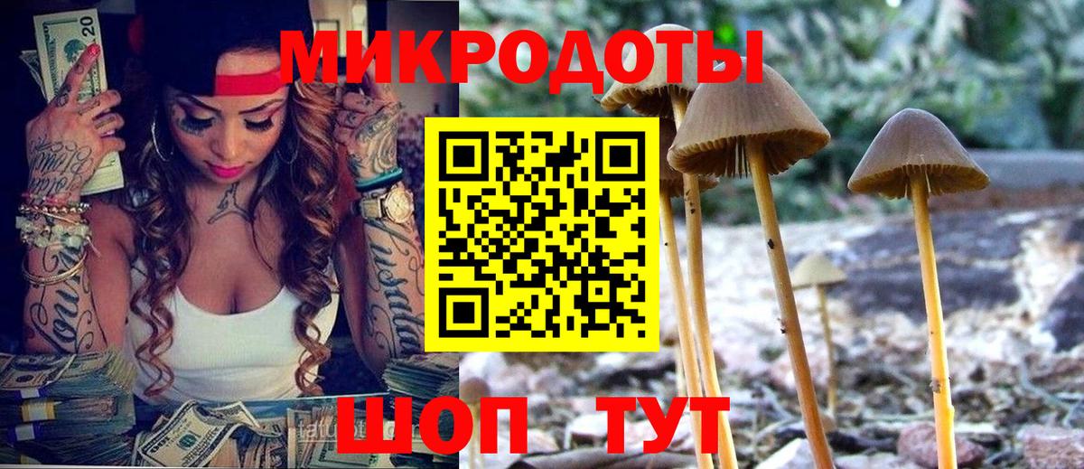 Братск  Псилоцибиновые грибы мухоморы  Вход с VPN 